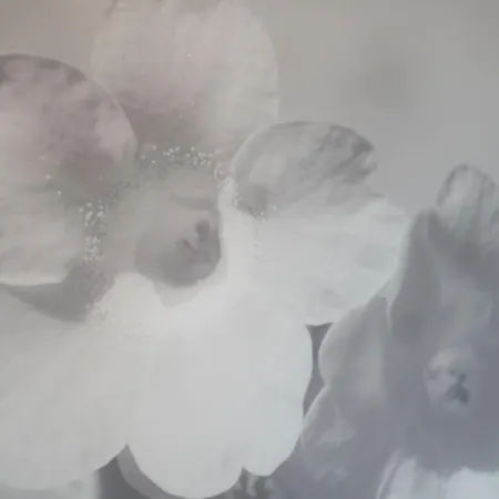 Alpenecho Ramsau am Dachstein