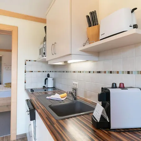 Apartment Alpenecho Ramsau am Dachstein