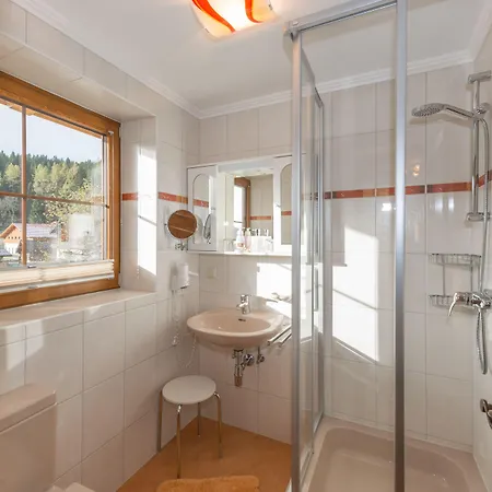 Alpenecho * Ramsau am Dachstein