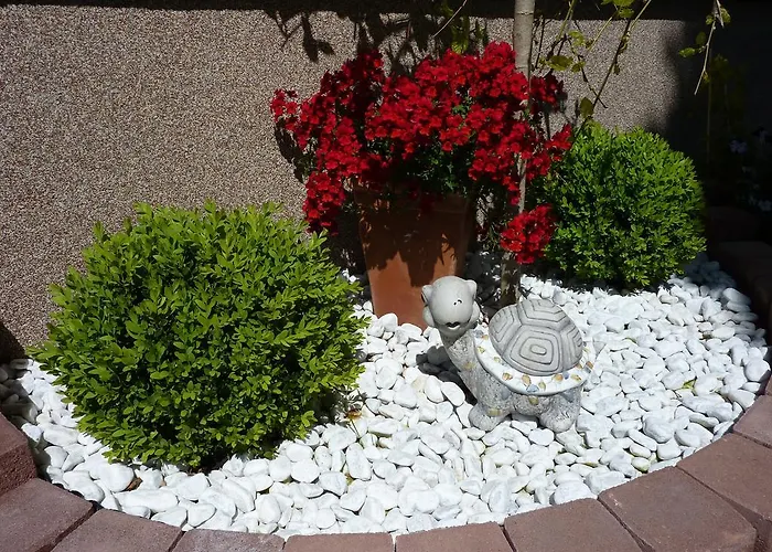 Alpenecho 拉姆绍达赫斯坦