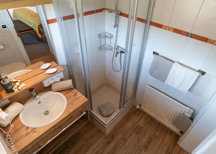 Alpenecho 拉姆绍达赫斯坦