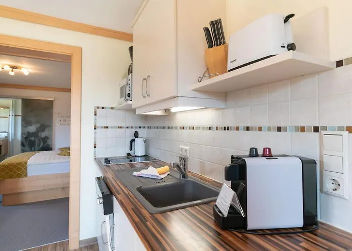 公寓 Alpenecho 拉姆绍达赫斯坦