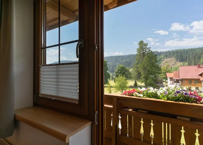 Alpenecho 公寓 拉姆绍达赫斯坦