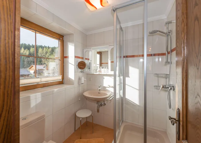 Alpenecho * 拉姆绍达赫斯坦